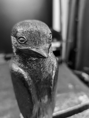 Image Forge d'exeption